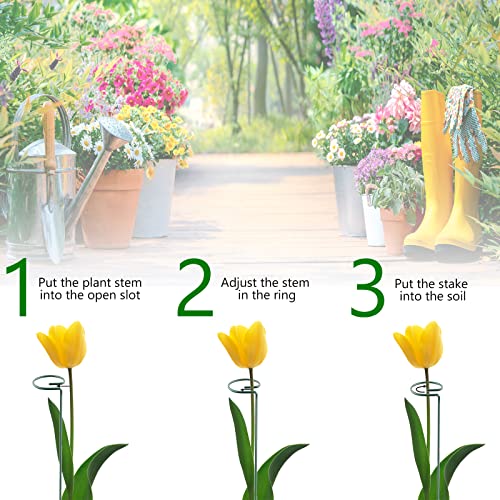 Thealyn 20 Pack 16 Inch Plant Support Stakes, Metal Single stemmed Flower Support Hoops，Garden Plant Stakes Plant Prop for Amaryllis Orchid Lily Rose Peony Tomatoes Gladiolus