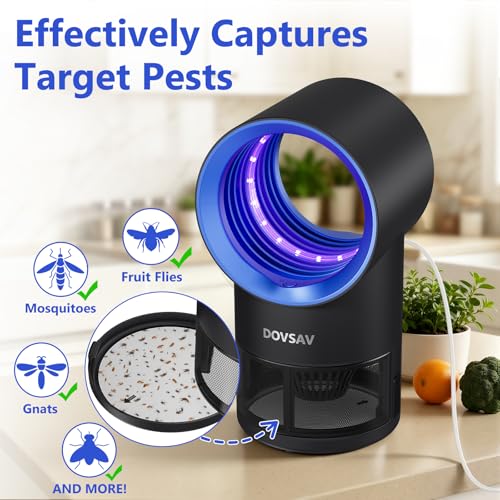 Fruit Fly Traps for Indoors, Blue Gnat Trap Indoor with Suction & Timer - color: Blue