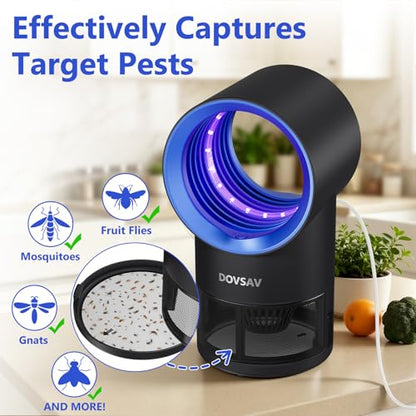 Fruit Fly Traps for Indoors, Blue Gnat Trap Indoor with Suction & Timer - color: Blue