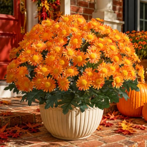 Artificial Fall Fake Mums Flowers Plants for Outdoor Decoration, 6 PCS Faux Silk Orange Gerbera Daisy UV Resistant No Fade Realistic for Planter Pot Outside Porch Patio Balcony Garden Yard Home Decor - color: Orange Mums