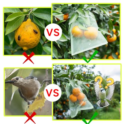 50PCS Fruit Protection Bags with Drawstring, 8x12 Inch Green Organza Produce Bags for Fruit Trees, Mesh Netting for Garden Protection - size: 8"×12"