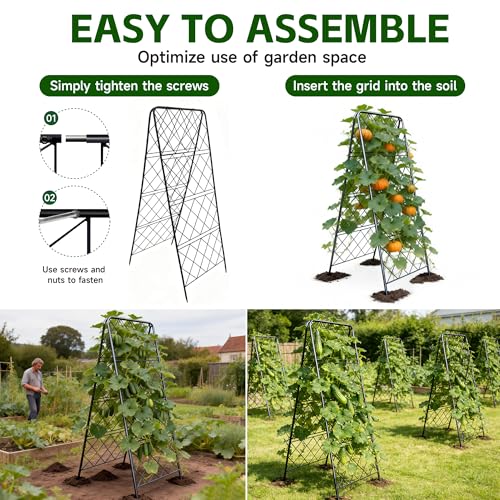 50"x17" Heavy Duty Metal Garden Trellis - Rust-Proof A-Frame Cucumber Trellis with High-Density Rhombus SteelGrats for Climbing Plants, Tomatoes & Raised Beds, Outdoor Use (2 Pack) - color: 2pack