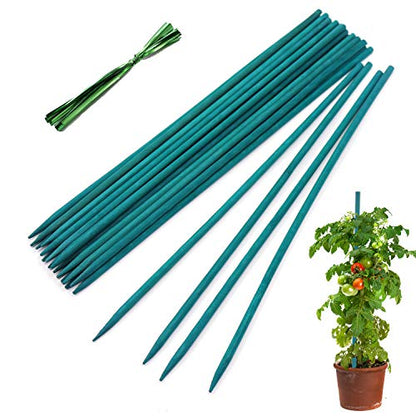 Plant Stakes 25Pcs,15IN Green Bamboo Sticks With25 Green Ties,Orchid Sticks - color: Green, size: 15 Inch 25Pack