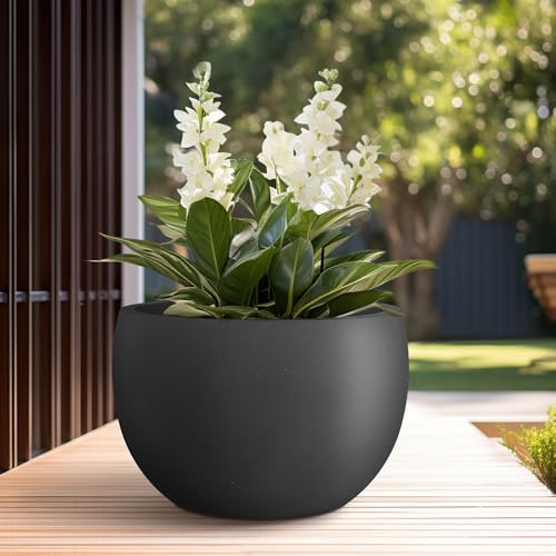 Kante Large Round Bowl Black Concrete Planter 20" Dia, Outdoor - color: Black, size: 19.9" d