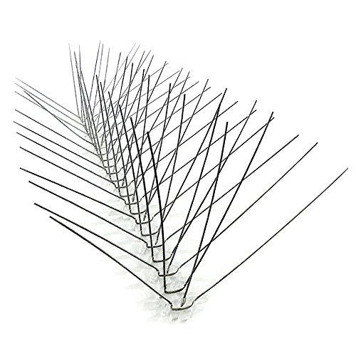 Bird-X Steel Spikes for Pigeons Sparrows Starlings 100-Foot Range 6-Inch - size: 100 feet