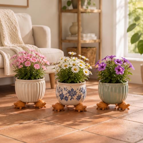 LemonRoad 12 Set Tortoise Pot Feet for Outdoor Planters, Terra Cotta Cement - size: Tortoise
