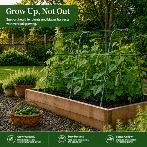 FOLLOOK Cucumber Trellis for Raised Garden Bed, 48x48inch, Green - color: Green, size: 48x48inch