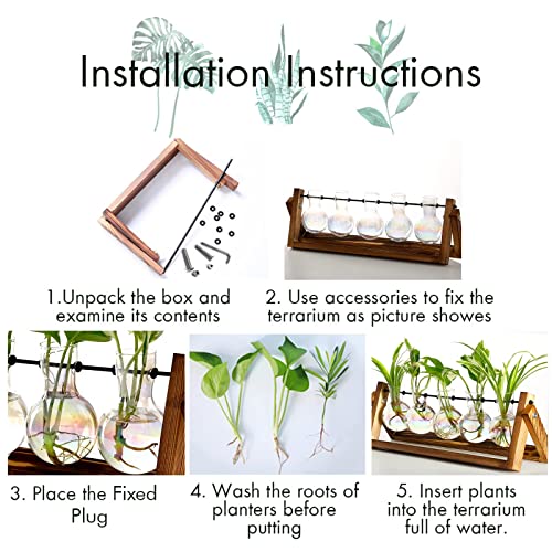 XXXFLOWER Plant Terrarium with Wooden Stand Desk Plant 5 Bulb Vase - size: 5 Bulb Vase