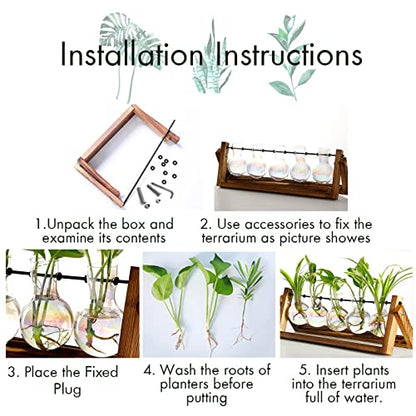 XXXFLOWER Plant Terrarium with Wooden Stand Desk Plant 5 Bulb Vase - size: 5 Bulb Vase