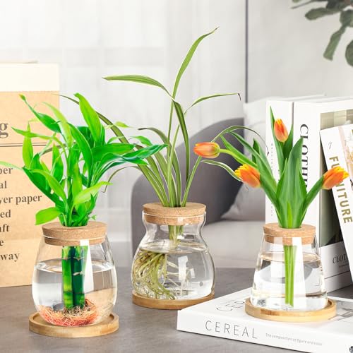 6 Pcs Glass Plant Propagation Station with Wood Lid & Stand, Novel Style - style: Novel Style