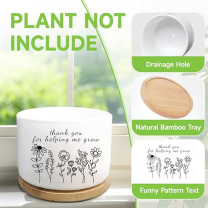 Thank You Gifts for Teacher, Succulent Plant Pot (Plants Not Included) - style: Thanks for helping me grow