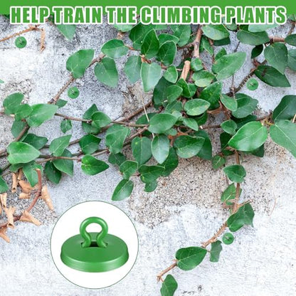 Willbond 80 Pcs Plant Anchors Kit for Vine Wall Stucco Trellis, Green - color: Green