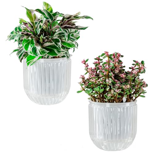 Melphoe Self Watering Pots for Indoor Plants Planter, 5.3 Inch 2 Pack Planters Self Watering Plant Pots for Flower, Houseplants, Succulent, African Violets and Cactus with Drainage - color: White, size: 5.3''