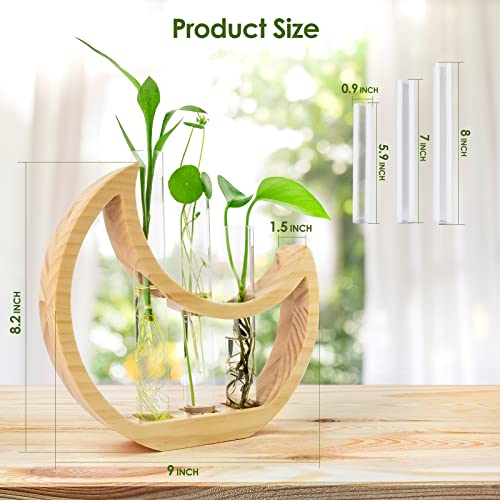 Crescent Moon Plant Propagation Station with Glass Test Tube for Houseplant