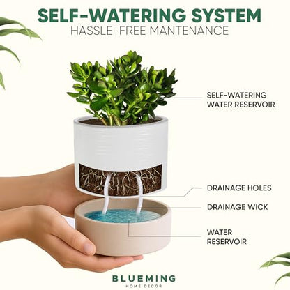 Ceramic Self Watering Plant Pots – 6 Inch White Planter with Drainage Hole & Water Storage for Succulents & Modern Indoor House Plants (White & Beige, 6" Wide) - size: Medium