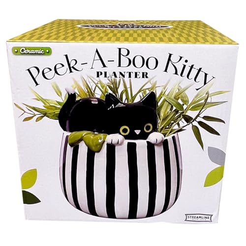 Streamline Imagined Ceramic Planter Pot for Succulent - Peek-A-Boo Kitty - Indoor - 6.75 x 6.75 x 6.75 inches - color: Black