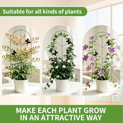 2 Pack 31 Inch Trellis for Climbing Plants Indoor, Rustproof Garden Metal Trellis for Potted Plants Outdoor, Sturdy and Durable Plant Support for Climbing Plants Such as Ivy, Monstera and Pothos - size: 31in