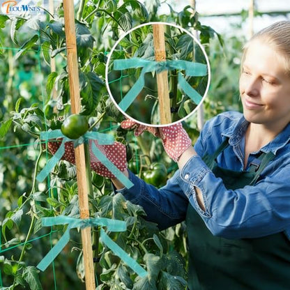 300 FEET x 1/2" 4mil Thick Stretch Non-Adhesive Tie Tape, Green Plant Garden Tie, Plant Ribbon for Branches, Climbing Planters, Flowers - size: 1/2 Inch Wide