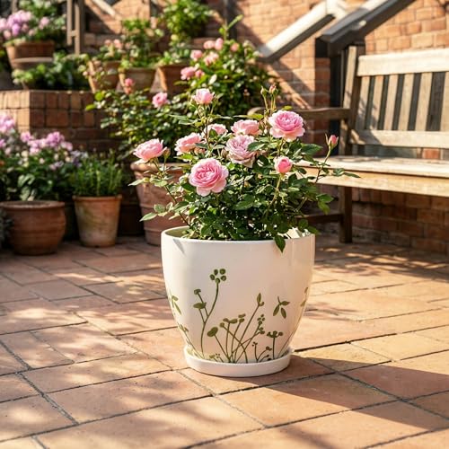 MPotTo Ceramic Pot for Plants 10 Inch, Grasses White - color: Grasses White, size: 10 Inch