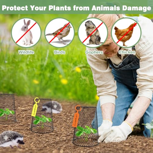 20 Pcs 6.8"×7.4" (Multiple Sizes/Quantities Available) Seedling Plant Protectors from Animals, Chicken Wire Plant Cage Garden Cloche to Protect Plants Vegetables from Rabbits Squirrels Chicken ﻿ - size: 6.8"×7.4"