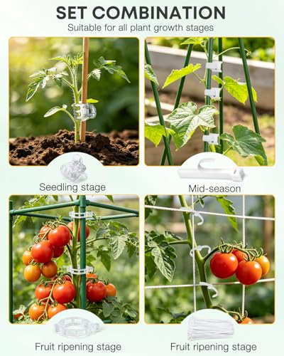 300Pcs Tomato Clips,Transparent Garden Plant Clips,Plastic Trellis Clips for Tomatoes,Cucumbers,Vines, Reusable Plant Support Clips, Gardening Supplies to Grow Upright - color: Transparency