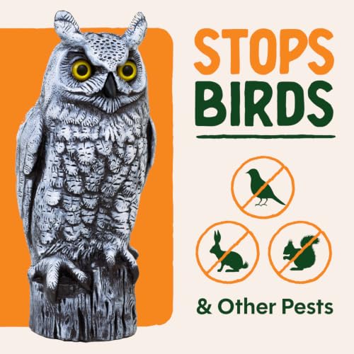 Dalen Fake Owl Decoy to Scare Birds Away from Gardens, Rooftops, and Patios - Scarecrow Provides Chemical-Free Pest Control - Safe and Humane, 16" Great Horned Owl - Snow White - style: Snow Owl