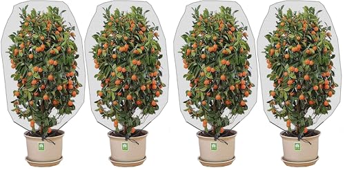 Alpurple 2 Pcs Insect Bird Barrier Netting Mesh with Drawstring- 4.9 x 3.2 Ft Garden Bug Netting Plant Cover- Fruit Tree Net for Protect Plant Fruits Citrus Flower from Insect Bird Eating (Pack of 2) - color: 4.9x3.2ft, size: 4.9x3.2 ft (Pack of 2)