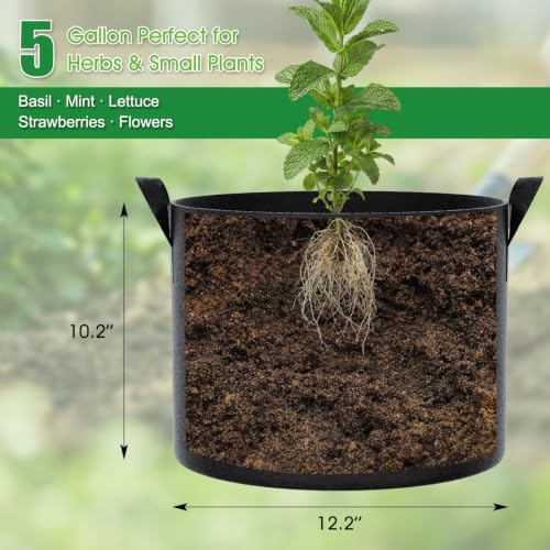 FEED GARDEN 5 Gallon Grow Bags 8 Pack – 300G Thickened Non-Woven Fabric Pots Double-Stitched Handles, Foldable Breathable Drainage Planters for Herbs, Lettuce, Strawberries & Flowers, Indoor Outdoor - size: 5 Gallon