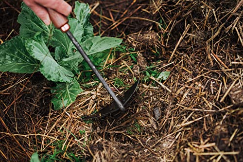 Barebones Triangle Hoe - Stainless Steel Hoe - Japanese Gardening Tools for Weeding, Long Handle and Hand Hoe (Walnut/Black) - color: Walnut/Black, size: Triangle Hoe