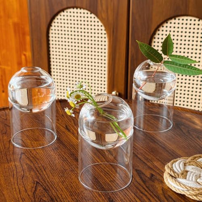 3-Pack Glass Plant Propagation Station, Planter Hydroponics Vase, Clear Glass Vase Set | Bud Vase & Mini Terrarium with Removable Base - color: Clear*3