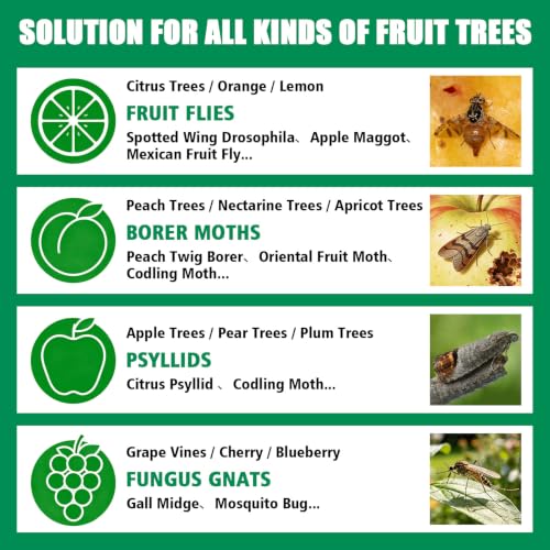 6pcs Sticky Insect Trap Ball Osseph Fruit Fly Trap Balls for Indoor Outdoor - color: Green
