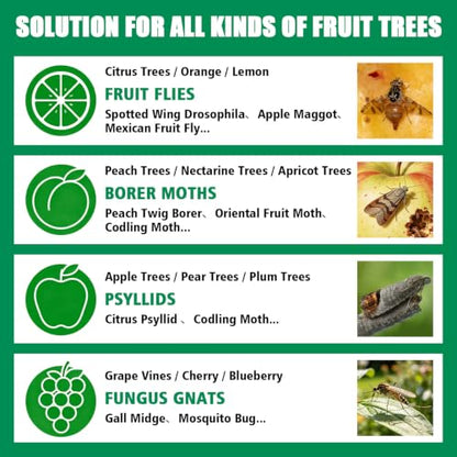 6pcs Sticky Insect Trap Ball Osseph Fruit Fly Trap Balls for Indoor Outdoor - color: Green