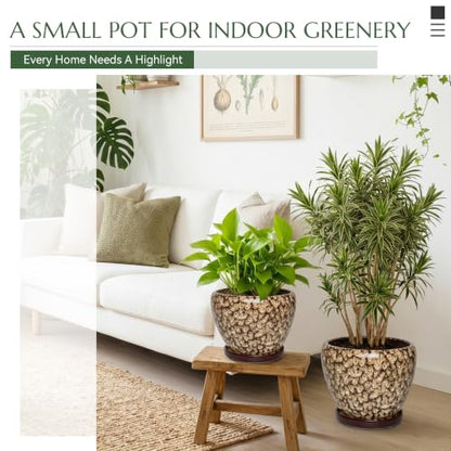 10.6 Inch Ceramic Planter with Saucer (Speckled White) - color: Speckled White, size: 10.6 Inch