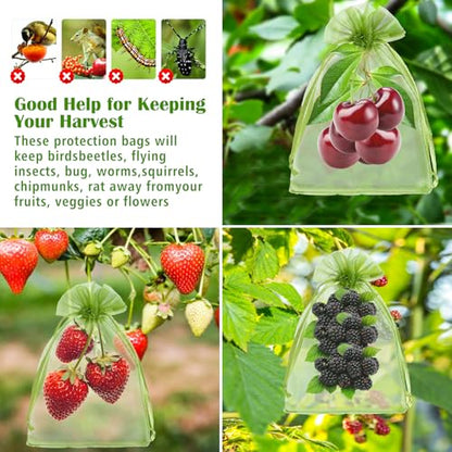 50 PCS 4X6 inches Fruit Protection Bags, Fruit Bags for Fruit Trees - size: 4X6