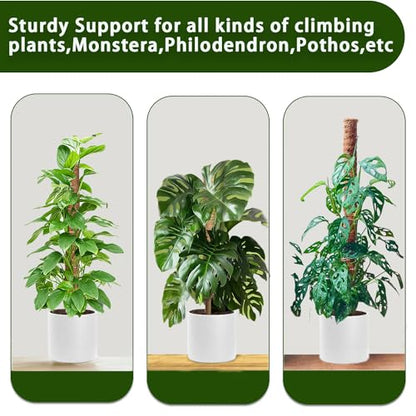 Moss Pole, 2 Pack 17 Inch Monstera Plant Support for Climbing Plants Accessories Indoor, Stackable Moss Poles Plant Support Stakes, Coir Plant Pole Sticks for Potted Plants, Pothos, Philodendron - size: 2pcs x 17 Inches