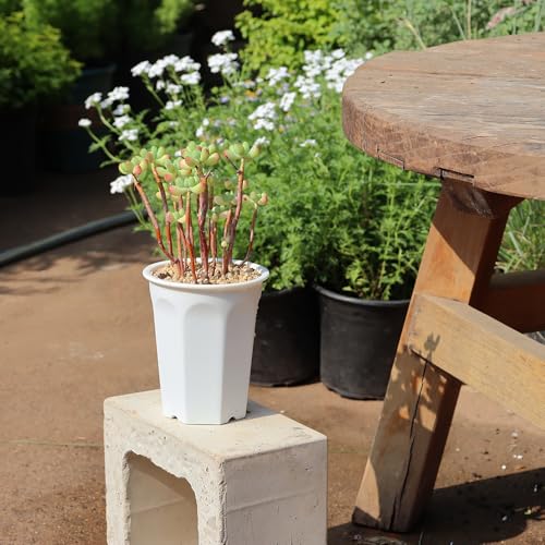 14 Pack 4.40 Inch White Plastic Deep Nursery and Seedling Pots, Round Planter Container for Transplanting, Cutting, Succulent - color: White, size: 4.40 inch