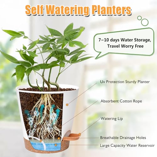 Vanslogreen Planters for Indoor Plants 7/6.5/6/5.5/5 Inch, Self Watering Planters with Drainage Holes and Saucers 5 Pack Plastic Pots for Plants, Succulents, Herbs, Cactus, Flower Pots, White - color: White-pack of 5, size: 5PCS|7+6.5+6+5.5+5