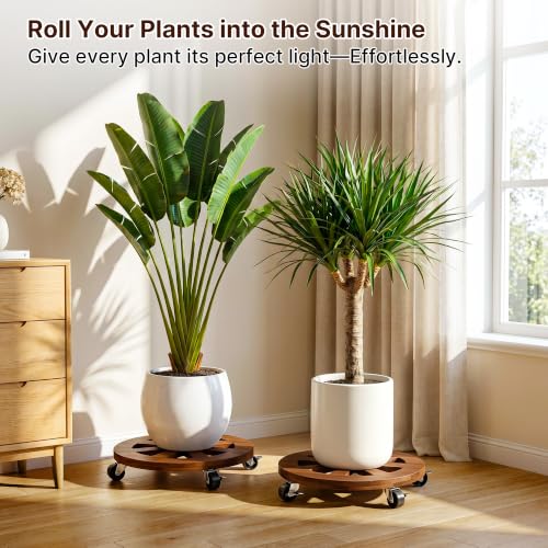 2 Pack Plant Caddy with Wheels 12'' Wood Rolling Plant Stand Indoor Brown