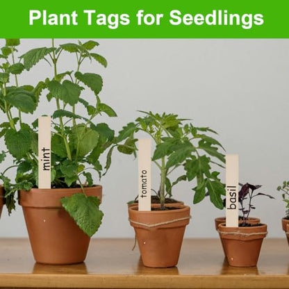 Wooden Plant Labels 55 Pcs, 6 Inch Potted Plant Name Tags Wood