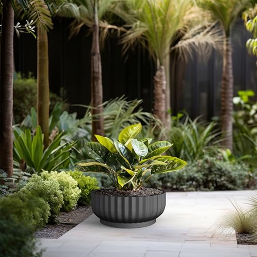 Kante Large Round Shallow Black Concrete Planter 20.9" Dia, Outdoor - color: Black, size: 20.9"w x 8.3"h
