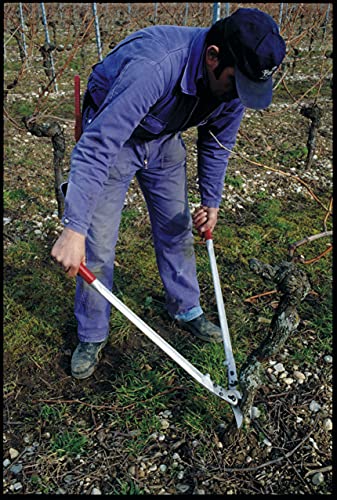 FELCO F22 Swiss Made Loppers for Gardening – 33.1" Heavy Duty Loppers for Tree Trimming | Tree Branch Cutters | Tree Trimmer Tool with Replaceable Alloy Steel Blade, Forged Handles Made for Life - size: 33.1 in