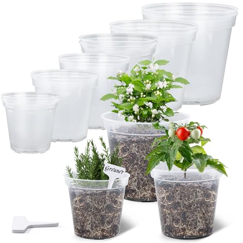 GREANER Clear Plastic Plant Pots, Orchid Pots with Holes and 20 Pcs Plant Labels, 5/6/7/8/9/10 Inch(Pack of 15) - color: 15pcs/Clear, size: 5/6/7/8/9/10inch