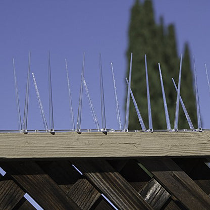 Bird B Gone EnviroSpike Plastic Bird Spikes, 50ft, Clear - size: 50 Feet Long