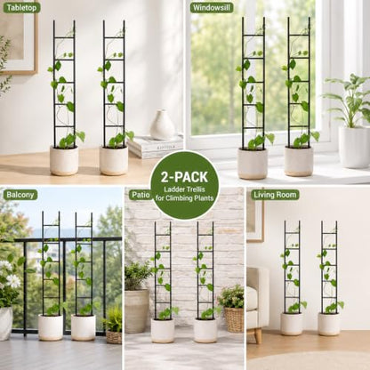 2PCS Indoor Plant Trellis, Sturdy Ladder Trellis for House Plant