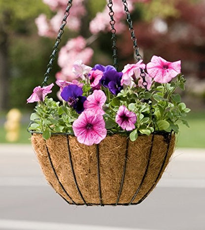 Panacea 88500 Growers Series Hanging Basket, Green, 12-Inch - size: 12 Inch