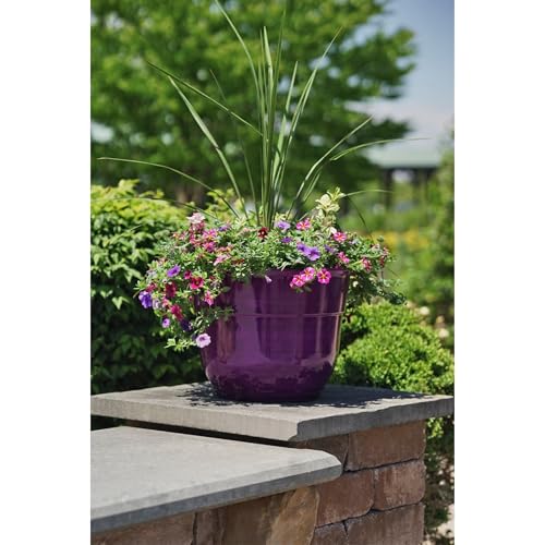 Garden Elements Indoor/Outdoor Glazed Brushed Happy Plastic Planter, Large, Dark Purple, 15" - color: Dark Purple