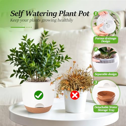 5.8 Inch Self Watering Planters for Indoor Plants with Bottom Watering,2Pack Flower Plant Pots for Outdoor with Drainage, Durable Plastic planters Pots(White) - color: White, size: 2Pc 5.7IN