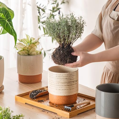 6 Inch Ceramic Self Watering Planter with Drainage Hole, Brush - color: Brush, size: Small