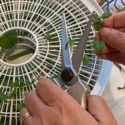 Kings County Tools Hand Gardening and Landscaping Pruner Tool Set | Wet Wood Bypass | Dry Wood Anvil | Flower Cutters | Sharp Japanese Blades | Cast Aluminum Handles | Ergonomic Design for Easy Use - style: Three Pruner Set