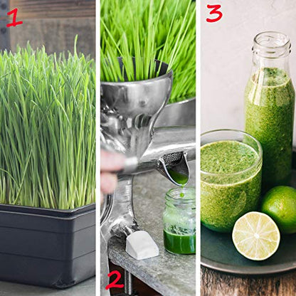 Handy Pantry 10-Pack 1020 Garden Growing Trays with Drain Holes - 10" x 20" - size: 10 Pack, style: With Drain Holes
